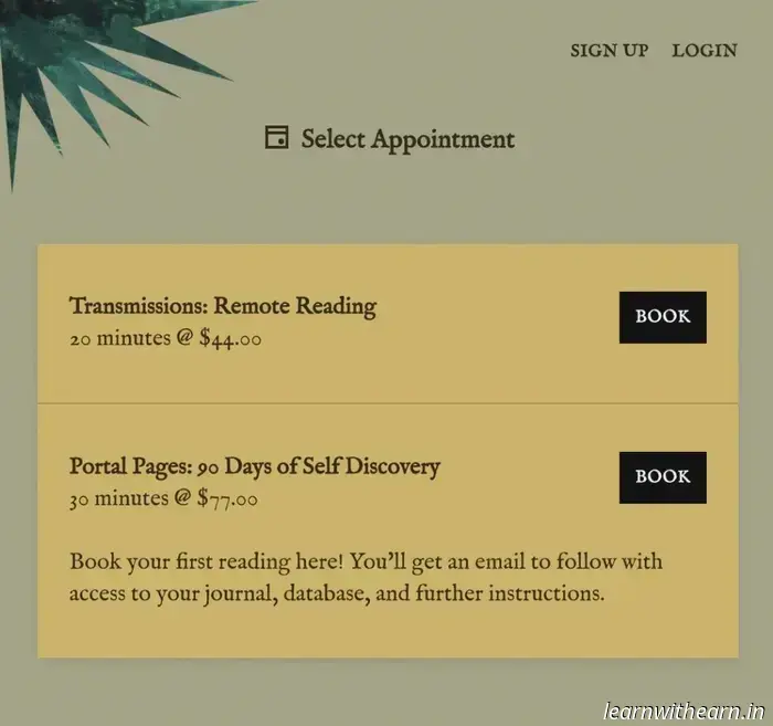 70 тыс. долларов дополнительного дохода за 6 месяцев с помощью фотографии ауры — Side Hustle Nation