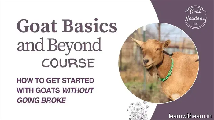 She Established a Six-Figure Business by Discussing Goats - Side Hustle Nation